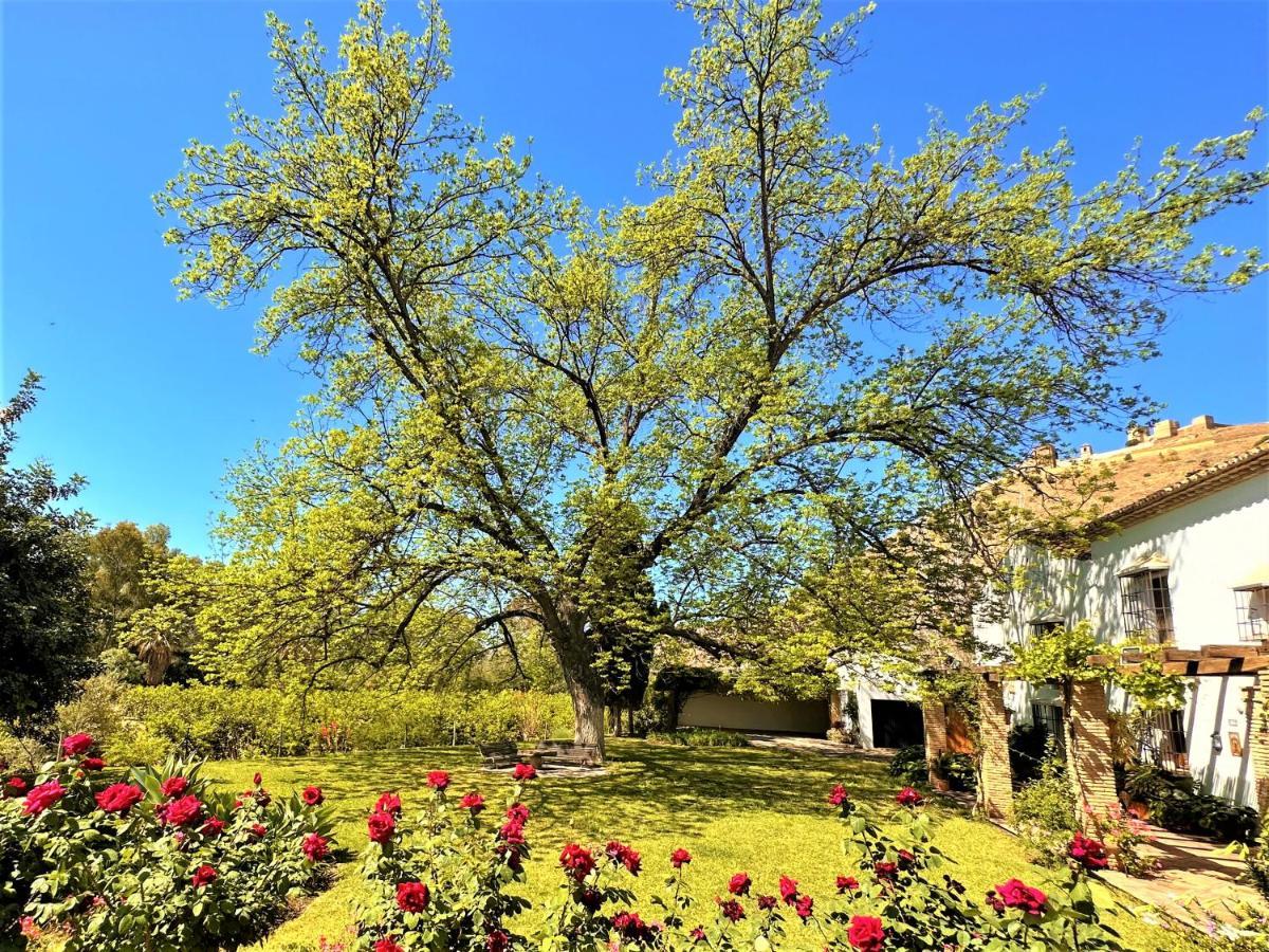 Casa Santa Catalina Villa Alora Dış mekan fotoğraf